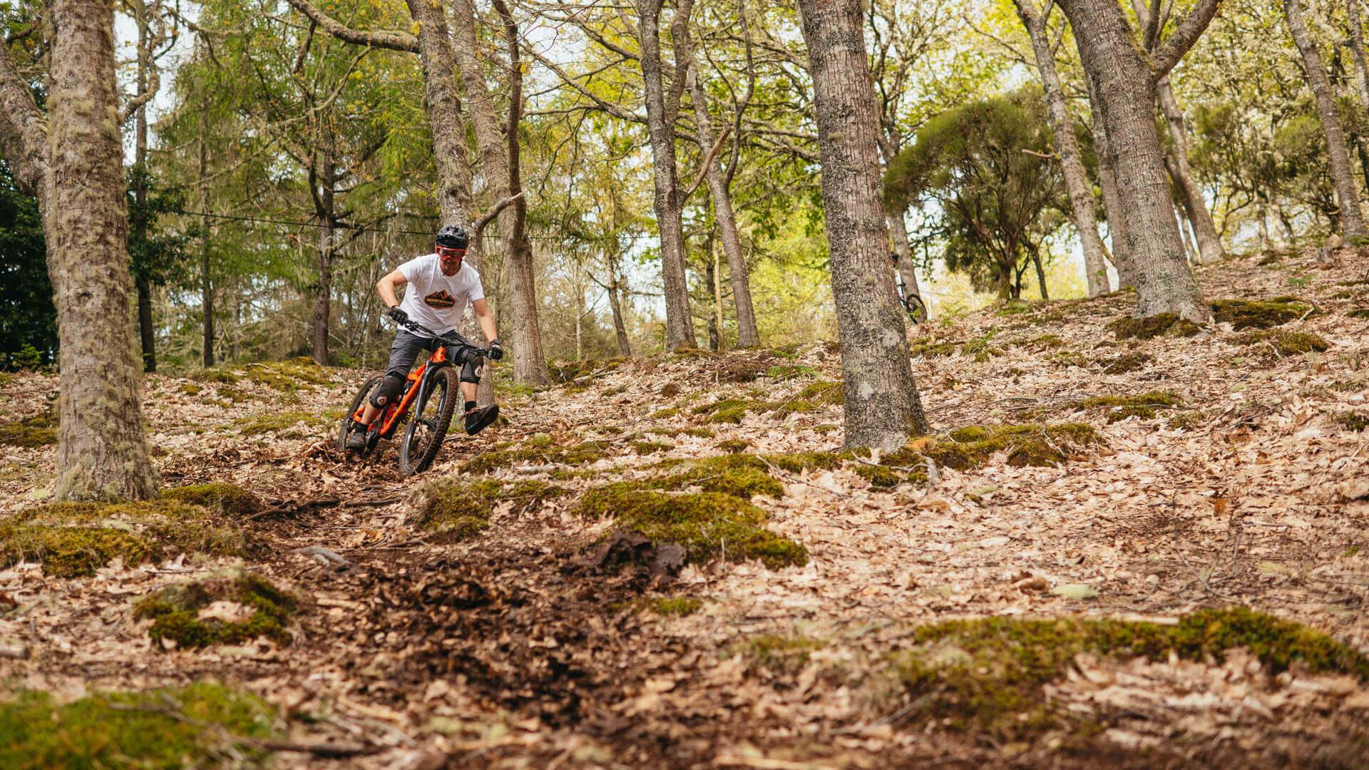 Embracing the rugged beauty of Madeira's peaks on two wheels. Mountain biking through paradise, where adrenaline and breathtaking views collide.
