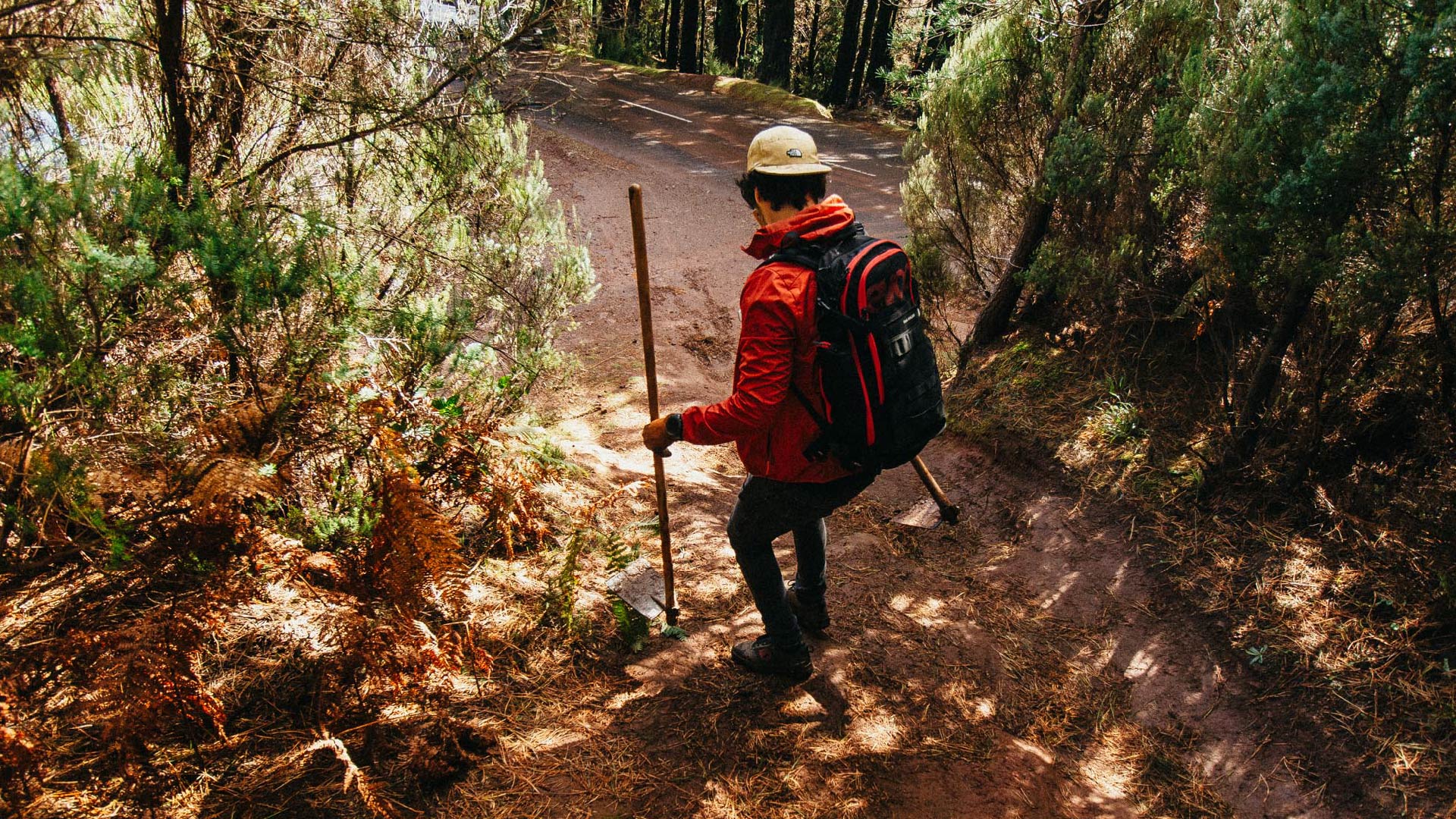 Trailbuilding Madeira Radwall Save the Trail Madeira.