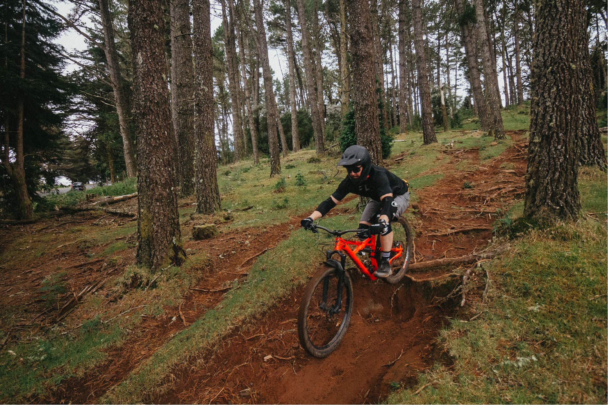 Embarking on an unforgettable journey through the enchanting landscapes of Madeira Island on a beginner's mountain biking tour.
