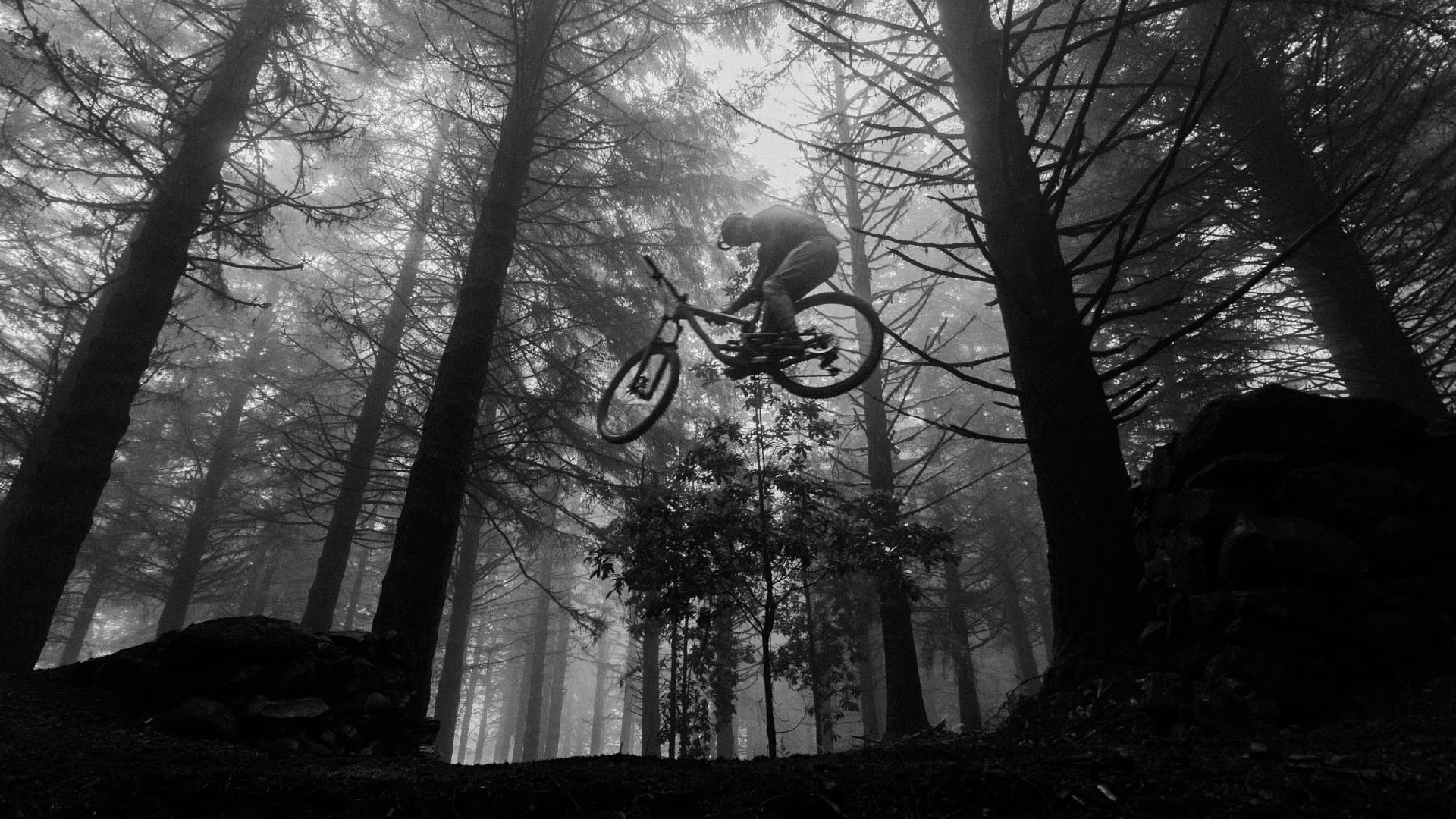 Embarking on an unforgettable journey through the enchanting landscapes of Madeira Island on a beginner's mountain biking tour.