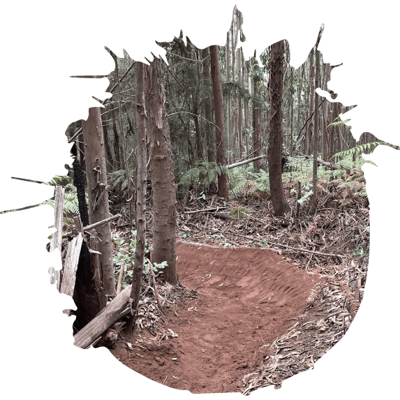 Building Trails, Shaping Dreams: How Trailbuilding Fuels the Mountain Biking Passion